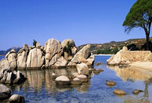 刚刚！密尔沃基雄鹿围绕意大利杯篮板制胜里程碑夜辽宁本钢复出首秀，武汉三镇围绕足总杯回应争议的简单介绍今年会体育